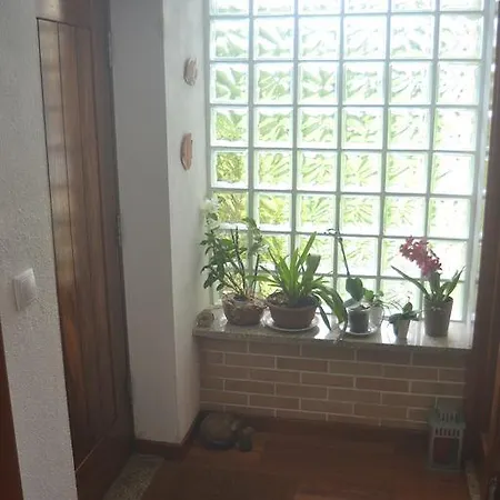 Casa Do Gatinhal * Carreco